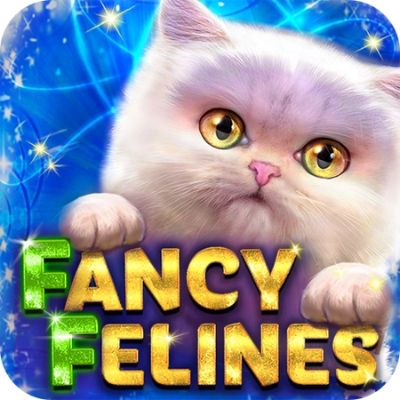 Hình minh họa Fancy Felines